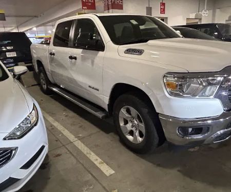 Avis Car Rental