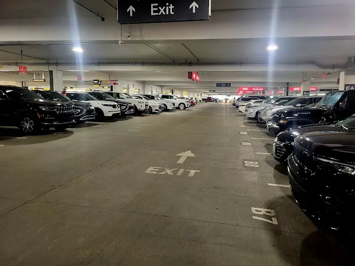Avis Car Rental Picture 3