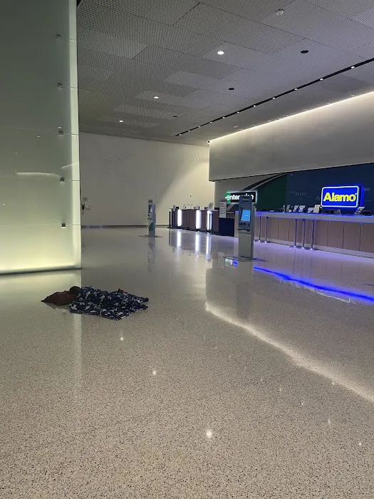 Alamo Rent A Car Picture 2