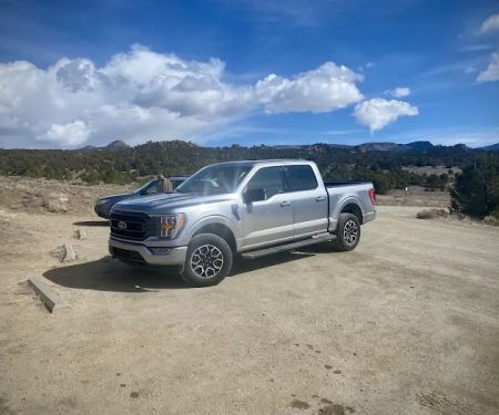 Avis Car Rental