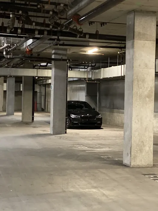 Avis Car Rental Picture 4