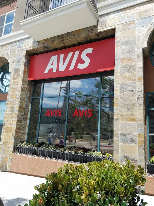 Avis Car Rental Picture 7