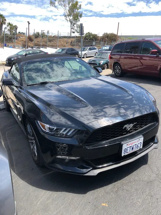 Priceless Car Rental Picture 4