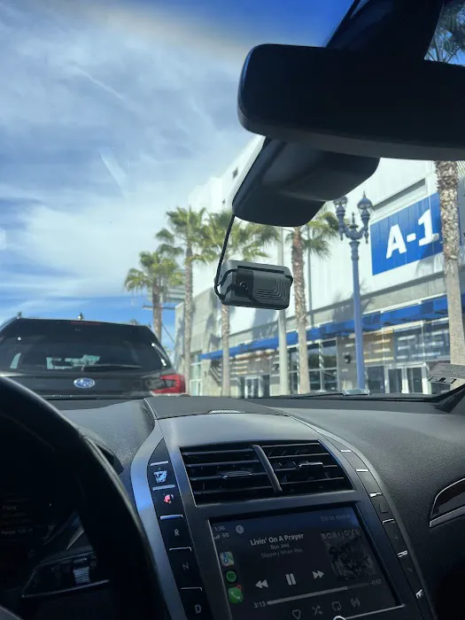 Priceless Car Rental Picture 10