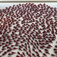 SAN Rental Car Center ico