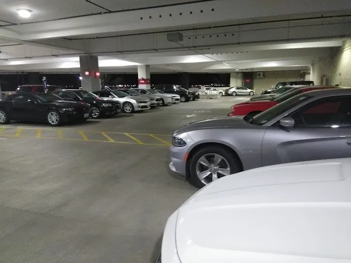 Fox Rent A Car San Diego Picture 9