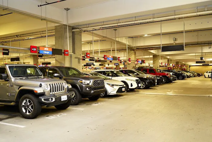 Avis Car Rental Picture 5