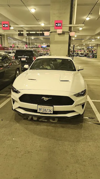 Avis Car Rental Picture 7
