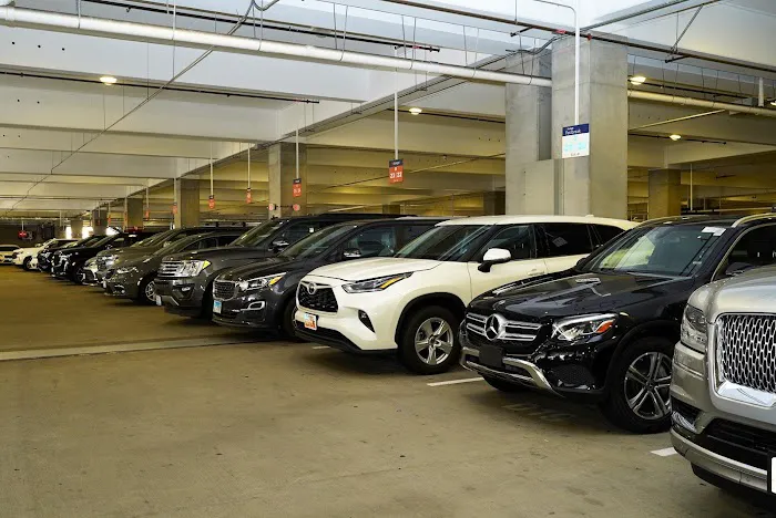 Budget Car Rental Picture 4