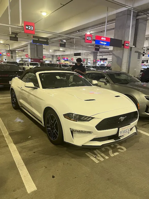 Budget Car Rental Picture 5