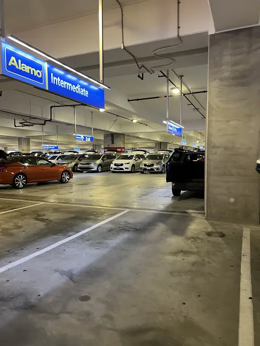 Alamo Rent A Car Picture 2