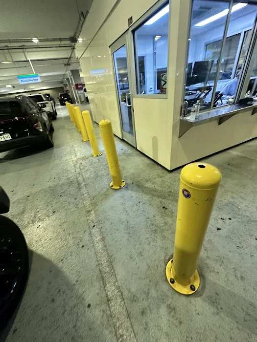 Alamo Rent A Car Picture 3