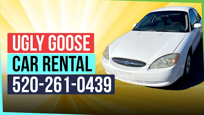 Ugly Goose Car Rental Picture 1