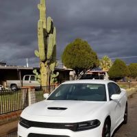 Hertz Car Rental - Tucson - West Ina Road ico