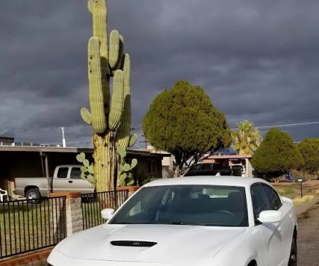 Hertz Car Rental - Tucson - West Ina Road