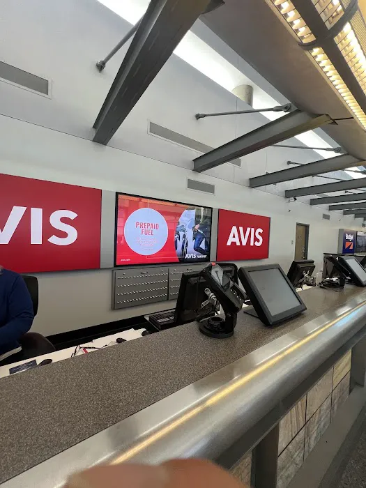 Avis Car Rental Picture 1
