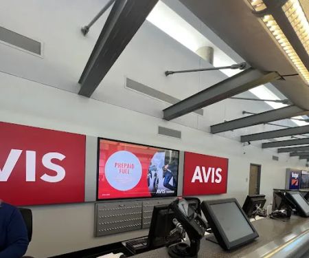 Avis Car Rental
