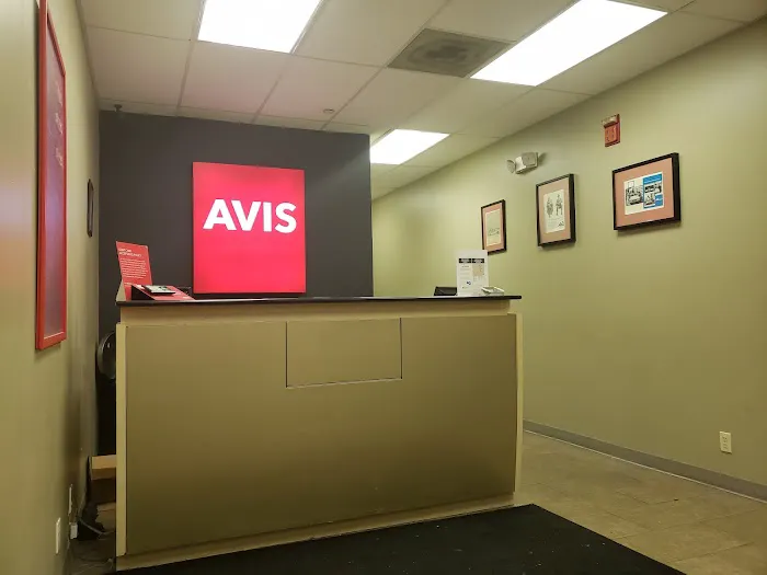 Avis Car Rental Picture 4