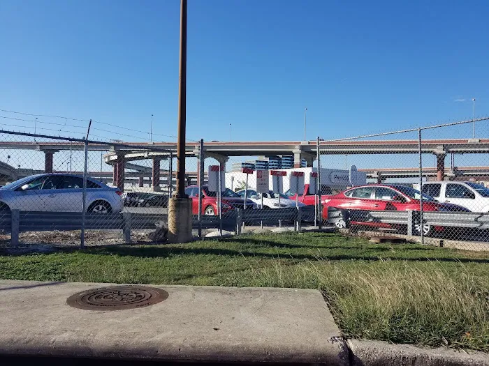 Payless Car Rental Picture 6