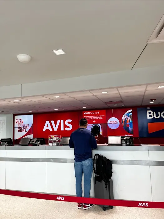Avis Car Rental Picture 3