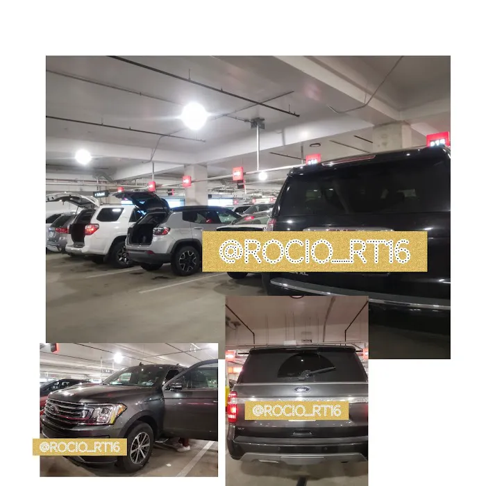 Avis Car Rental Picture 4