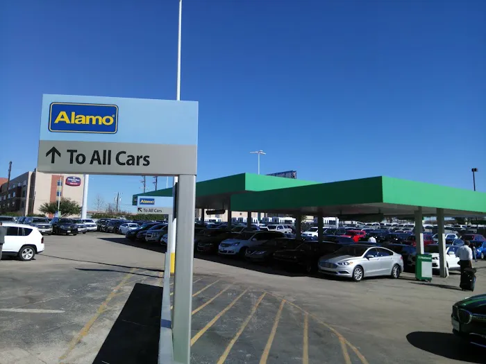 Alamo Rent A Car Picture 3