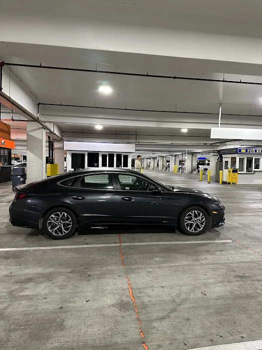Fox Rent A Car San Antonio Airport Picture 8