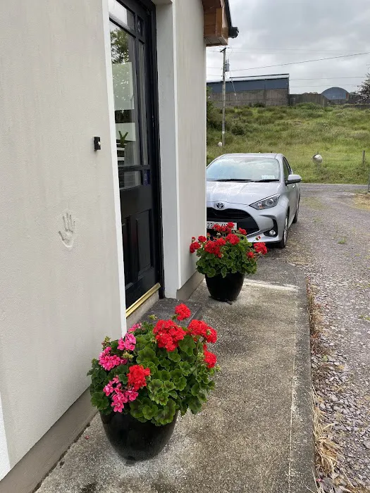 Budget Car Rental Picture 1