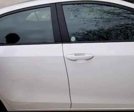 Avis Car Rental