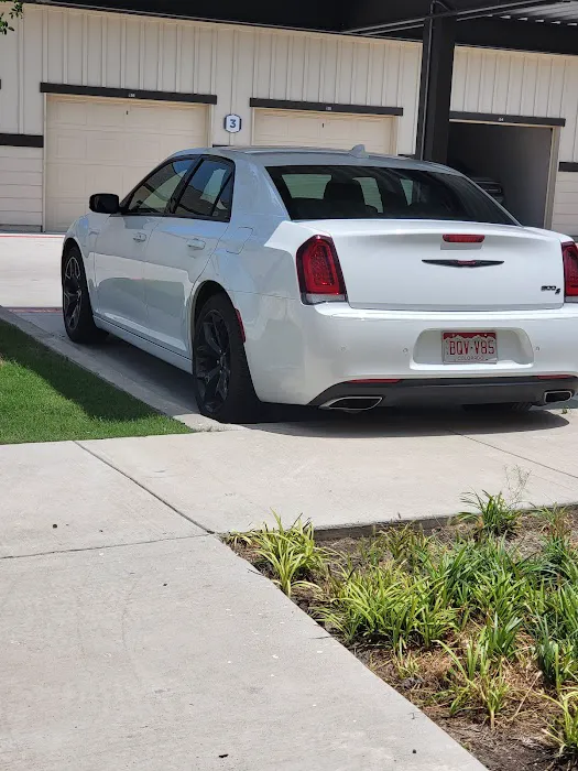 Budget Car Rental Picture 4