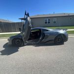 All Out Exotics