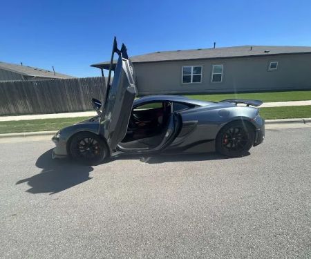 All Out Exotics