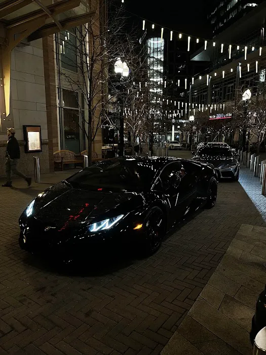 All Out Exotics Picture 7