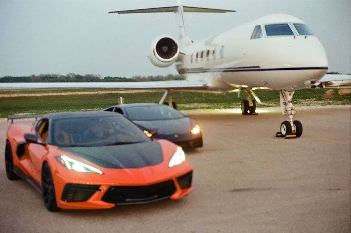 All Out Exotics Picture 10