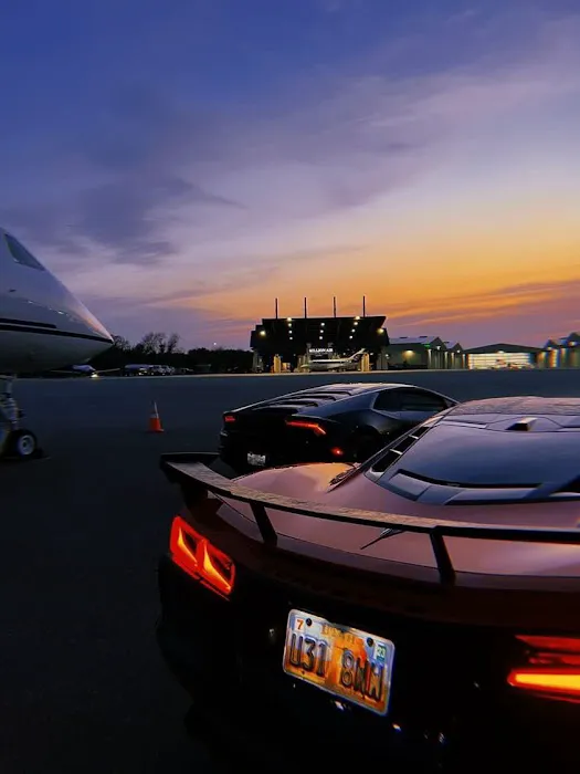 All Out Exotics Picture 8