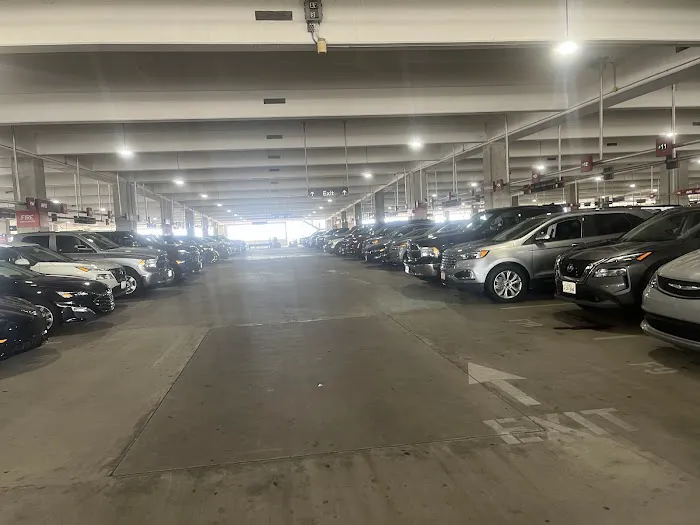 Avis Car Rental Picture 3