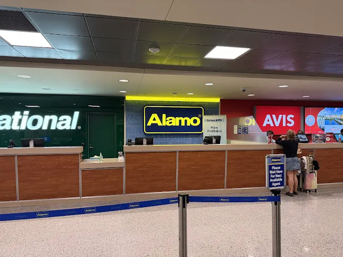 Alamo Rent A Car Picture 1