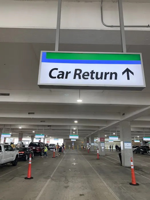 Alamo Rent A Car Picture 4