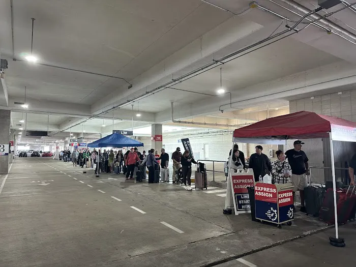 Budget Car Rental Picture 5