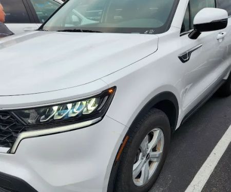 Avis Car Rental