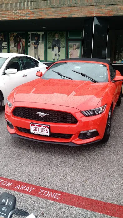 Avis Car Rental Picture 8