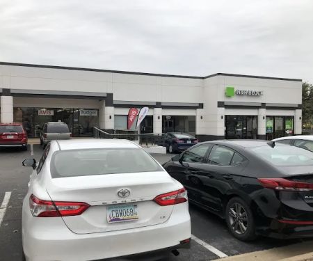 Avis Car Rental