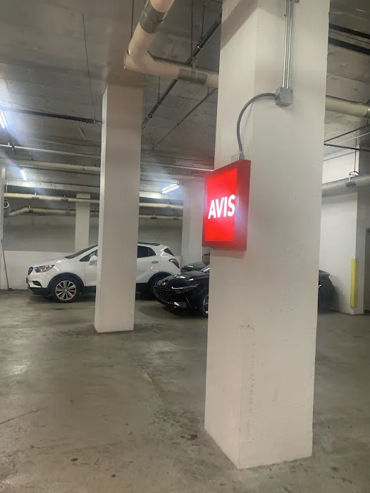 Avis Car Rental Picture 1
