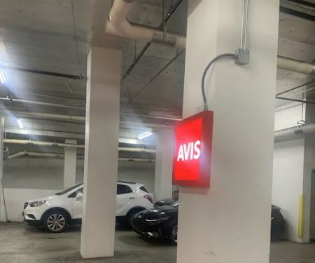 Avis Car Rental