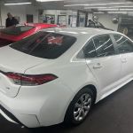 Alamo Rent A Car