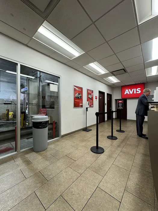 Avis Car Rental Picture 1