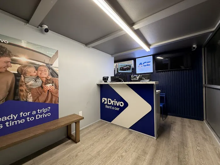 Drivo Rent A Car Picture 3