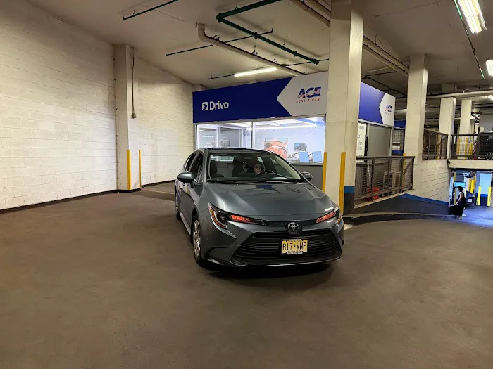Drivo Rent A Car Picture 1