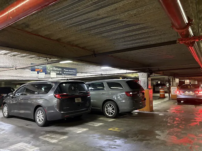 Budget Car Rental Picture 1