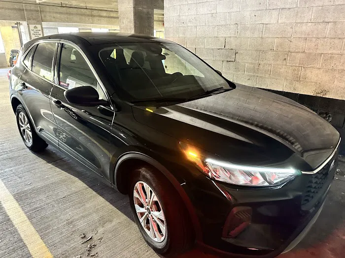 Avis Car Rental Picture 7